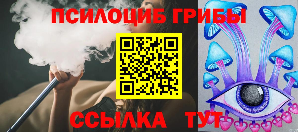 Псилоцибиновые грибы Cubensis Новый Уренгой